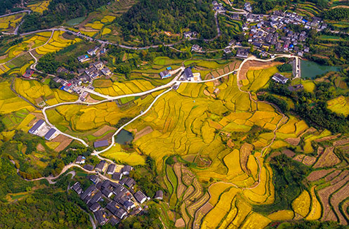 奉化大堰镇：小村庄变身大景区