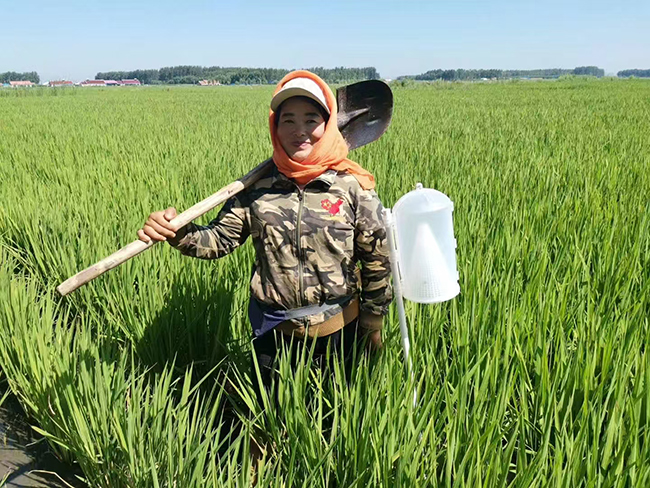 刘彦洁：一把锄头，守一片黑土  三十春秋，种一粒良心