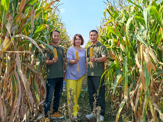 一粒种子种出乡村振兴新希望——记长春市九台区龙嘉镇二道村新农人杜娟